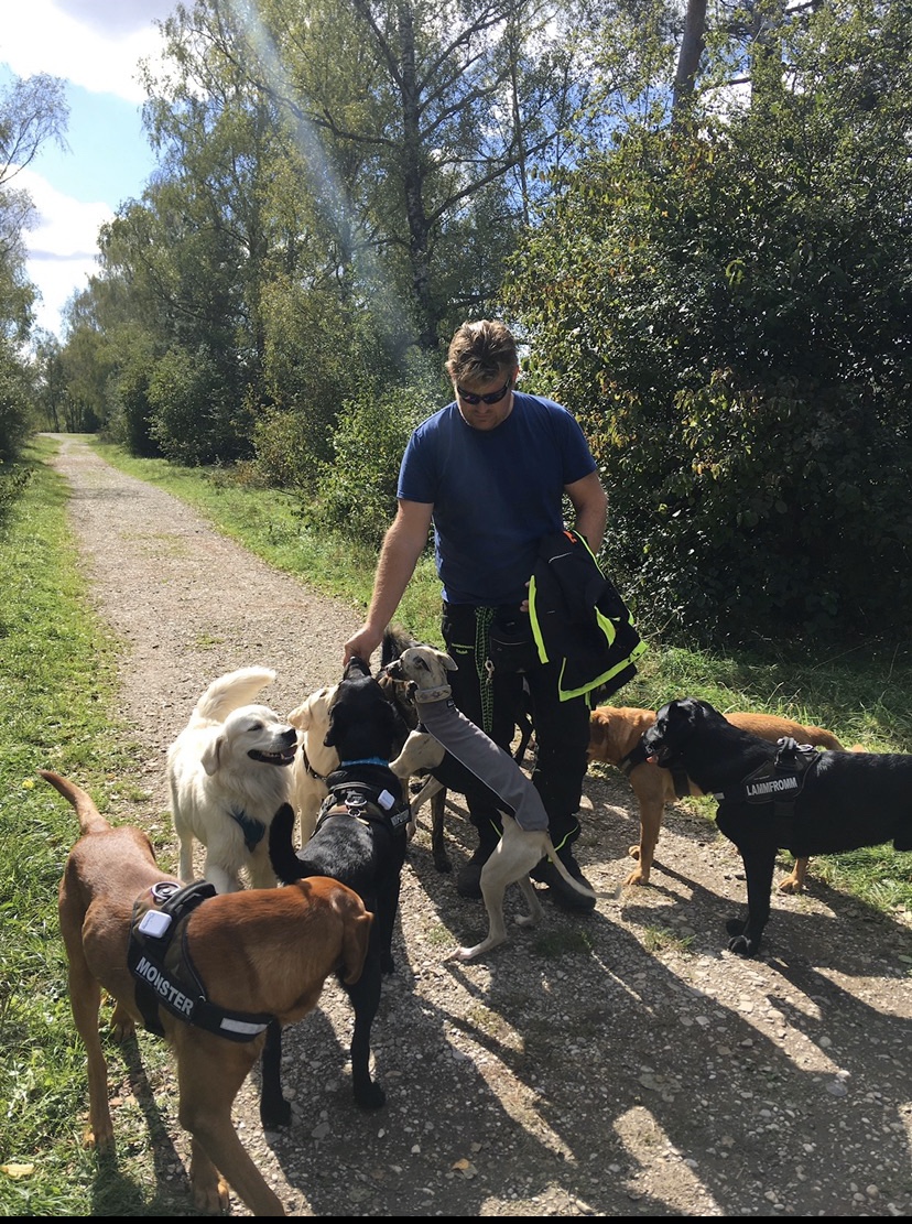 Hundebetreuung Schobel Galerie 2